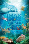 Film: "Pod taflą oceanu" - plakat